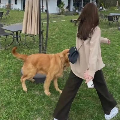 与君重逢初见时